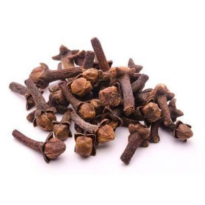 China Dry 2022 popular spices wholesale price dry herbs spice dry whole cloves cloves for sale