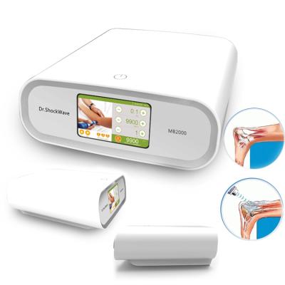 China Handheld Low Level Veterinary Therapy Laser for Pain Relief and Healing in Pets and Larger Animals MB2000 for sale