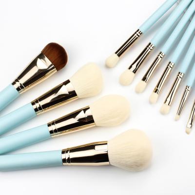 China Angular Blush Accept Customized 14 Customized High Quality and Beautiful Reading Brushes for sale