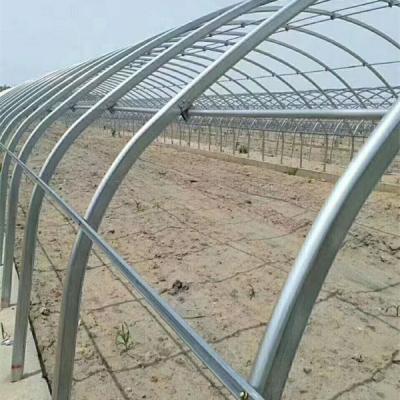 China Fruit Flowers Greenhouse Plant Frames Used For Agriculture Of Manufacturing for sale