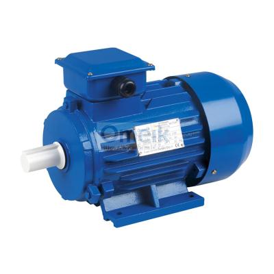 China Hot Selling Three Phase Y 5 Hp 2hp Induction Motor Prices Totally Enclosed Sales For Processor for sale