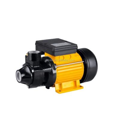 China Family houses IDB series 0.5HP 1HP house water peripherail votex pump for sale