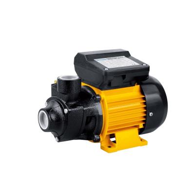 China Peripheral pump IDB series 1/4 horsepower water pump for sale