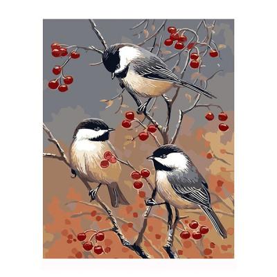 China Modern DIY Paint By Number Kit On Canvas For Hand Painted Oil Painting, Three Birds, Canvas Oil Painting Kit For Adults Landscape for sale