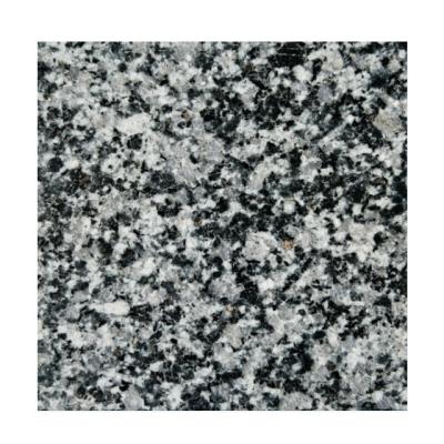 China Factory Direct Sale Modern Granite Slabs Black Granite Tiles 60x60 60x90 Polished Granite Slabs Square Courtyard Road Stone Slab for sale