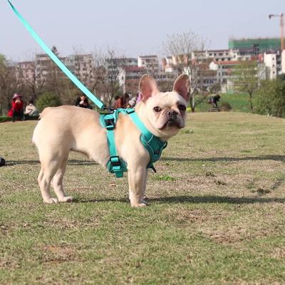 China New Type Dog Lights Style Dog Leash Knit Harness Set Reflective Breathable Cat Rope Dog Rope Walking Walking Wholesale for sale