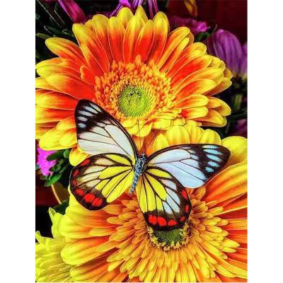 China Full American Style DIY Diamond Painting With Diamond Art Butterfly Animal By Digital Kit Home Wall Decoration,Adult 5D Flower Diamond Painting for sale