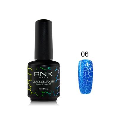 China New RONIKI Autumn Color Uv Gel Beauty nail arts design hot sale split gel nail polish split gel for sale