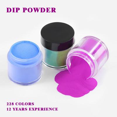 China Professional Nail Extension and Decorating Nail RONIKI Supplies Free Sample Dip Products Bulk Nail Acrylic Dipping Powder for sale