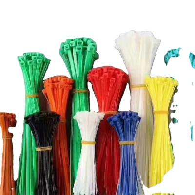 China Eco - Friendly Accept Customization Nylon Self Locking Cable Tie for sale