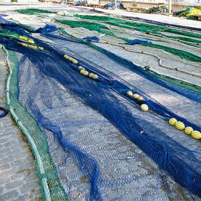 China Large Multifilament Tramail Fish Fishing Net For Fishing Boat for sale