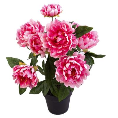 China High quality wholesale colors large variety supplies simulation peonies silk flower decor with 8 flower heads for sale