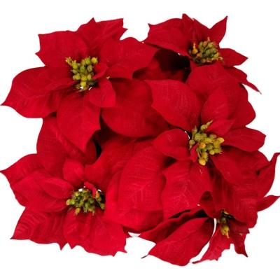 China New design high quality Christmas mini simulation plastic flowers bloom for gift decoration or wall covering for sale