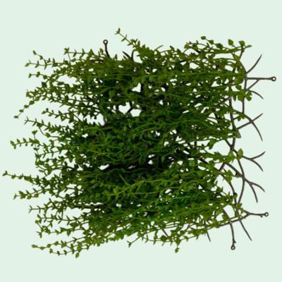 China High Quality Simulation Flower Lover Tears Artificial Succulents Plant Hanging Vine For Green Plant Wall Decor Wedding Decoration for sale