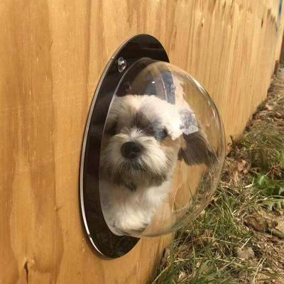 China Viable Custom Dog Cat House Window, Dome Pet Peek Fence, Acrylic Dog Cat Face Window for sale