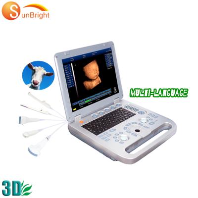 China OB Ultrasound Machine Veterinarian China Horse Dog 3D Ultrasound Laptop Portable Ultrasound Machine for sale