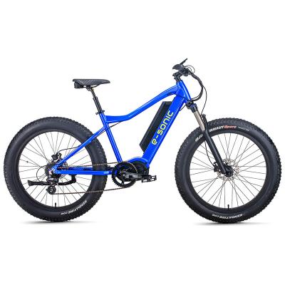 China NEW LEONIS 26 Inch 750W Motor Multifunction Alloy Frame Power Snow Bike EN 15194 48V 10.4Ah Lithium Battery Electric Bicycle for sale