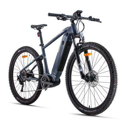 China New design aluminum alloy 29 inch EAGGO 3.3 250w 36v ebike mountain bike 10 speed enduro ebike vintage electric ebike from chinese factory for sale