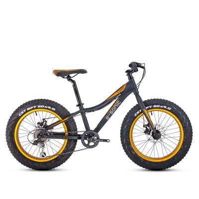 China TIGER T100 Mini 20 Inch Tire Bike 7 Speed ​​Beach Cruiser Snow Beach Mountain Bike Tour Fat Aluminum Alloy Frame With Fat Tire for sale