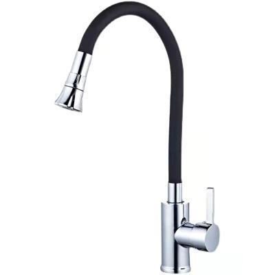 China With Slide Bar Black 2021 Hot Selling 304 Stainless Steel Pull Out Kitchen Faucet With Hot And Cold Water for sale