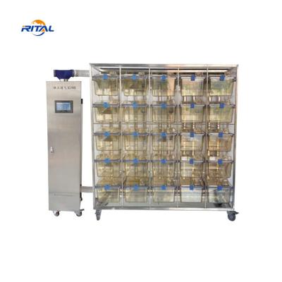 China Lab Ivc Lab Mouse Cages Plastic Pet Pig Rat Cage Individually Ventilated Cage System for sale