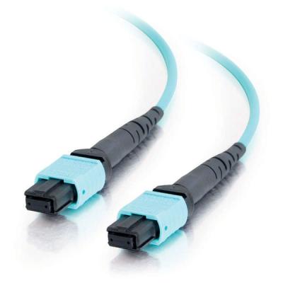 China Cable modificado para requisitos particulares de la fibra de la longitud MPO para las instalaciones RoHS de la espina dorsal obediente en venta