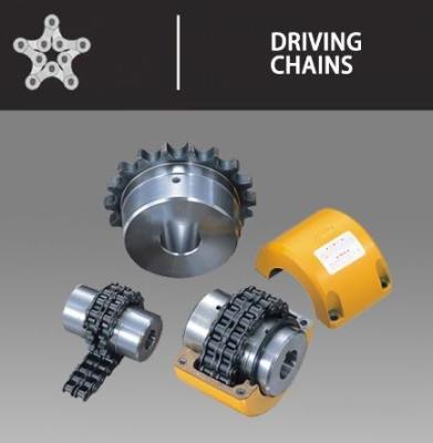 Κίνα UCER Transmission Drive Chain Duplex Roller Chain 4012 4014 4016 προς πώληση