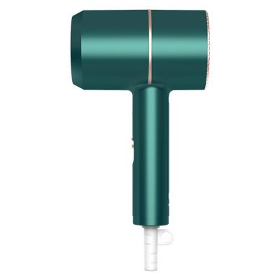 China Household Use Ionic Radius Anion Constant Temperature High Power Blue Hair Dryer for sale