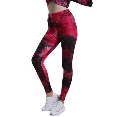 China Breathable Sports High Waist Pants Fitness Wholesale Large Size Women Sports Slim Running Yoga Gaiters for sale