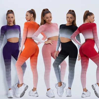 China Wholesale Breathable Running Long Sleeve Yoga Seamless Exercise Pants 2 Piece Set Women Gym Fitness Sets for sale