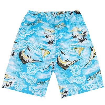 China Manufacturers Plus Size Wholesale Men's Summer Beach Shorts Five Minute Straight Leg Shorts Bikinis And Beachwear for sale