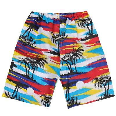 China Factory direct plus size casual men's summer beach half pants pants printing regular fit shorts men's beach shorts for sale