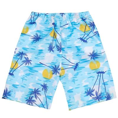 China Plus Size Men's Swim Trunks New Style Quick Dry Wholesale Hot Shorts Beach Pants Comfortable Swimming Shorts for sale