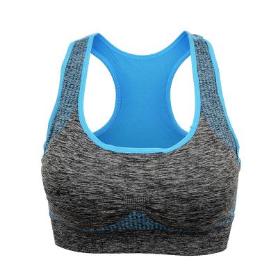 China Breathable Good Quality New Style Workout Gym Wear Yoga Bra Fitness Sports Running Bra For Women for sale