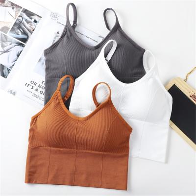 China High Quality Breathable OEM Women Beauty Neck Straps Single Ribbed Sports Fitness Yoga Sports Bra Top for Women for sale