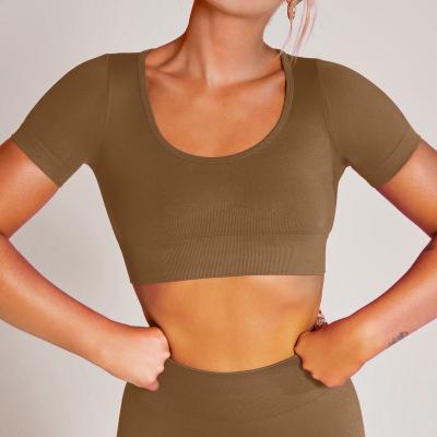 China Wholesale Breathable High Elastic Women Short Sleeve Active Tank Tops Workout Wear Gym Women Yoga Crop Top for sale