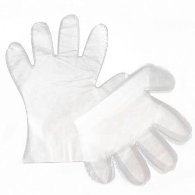 China High quality disposable pe cleaning gloves for cleaning and hairdressing for sale