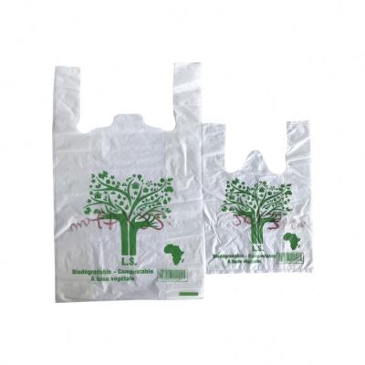 China BIODEGRADABLE Grocery Wholesale Biodegradable Compostable Clear Plastic Bag for sale