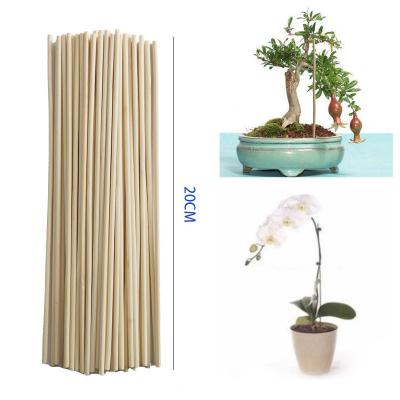 China Small Bonsai Branch Vineatural Bamboo Wooden Bamboo Wands Support Plants Growth Stick Europe Garden Suppliers Gardening Sticks for sale