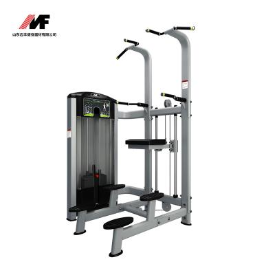 China Shandong Maifeng High Sellable Professional Top Fitness Members ADM08 Gym Equipment ADM08 for sale