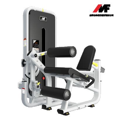 China AFSD03 Commercial Multi Functional Gym Use Leg Extender And Favorable Leg Curl Factory Price Fitness Equipment for sale