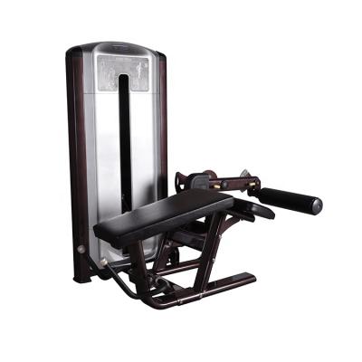 China AD-13A Commercial Horizontal Bodybuilding Gym Leg Curl Fitness Equipment for sale