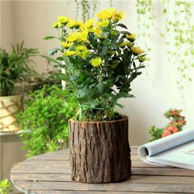 China Plant Pot Flower Pot Garden Indoor Outdoor Handmade Rustic Wooden Flower Pot for sale