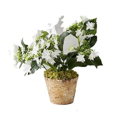 China Home Flower Craft Bark Birch Flower Pot Indoor Outdoor Natural Rustic Pot New Design for sale