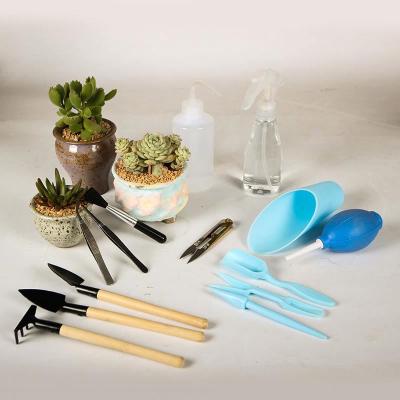 China Planting Seedling Succulents Planting Tools and Flower Tools Mini Garden Hand Tools Kit for sale