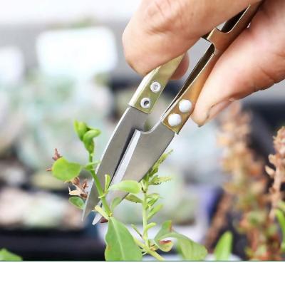 China Mini Garden Cutting Garden Shears Plant Pruning Scissors Garden Tools for sale