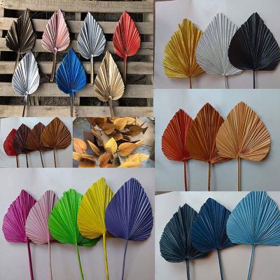 China 2022Hot Natural Touch Selling Factory Wholesale Muti-shape Dried Flower Arrangement Natural Bleach Dyed Newly Preserved White Palm Leave for sale