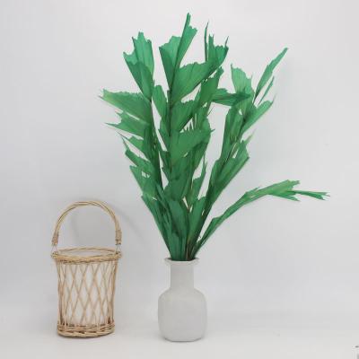 China Touch Ternal Flower Plant Floral Bouquet Natural Material Preserved Flowers Dried Fishtail To Leave Grass For Indoor Outdoor Decoration for sale