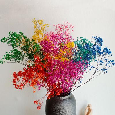 China 3hlink Contact Wholesale NaturalDried Natural Preserved Fresh Colorful Gypsophilia Babybreath Flower Bouquet Gift For Valentine's Day for sale