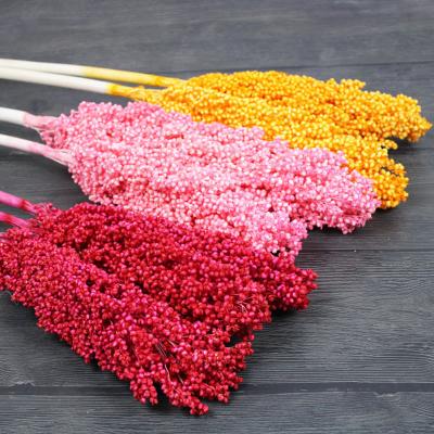 China 3HLINK Natural Real Touch Trim Flowers Everlasting Foliage During Long Preserved Handmade Sorghum Flower For Home Wedding Decoration for sale